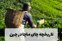 تاریخچه چای ماچا در چین