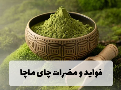 فواید و مضرات چای ماچا و تأثیرات آن بر سلامتی