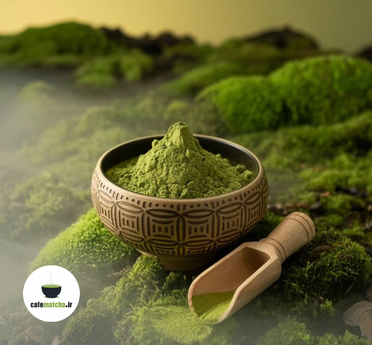 ماچا ژاپنی
