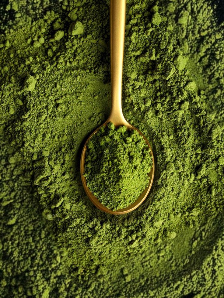 قیمت عمده ماچا