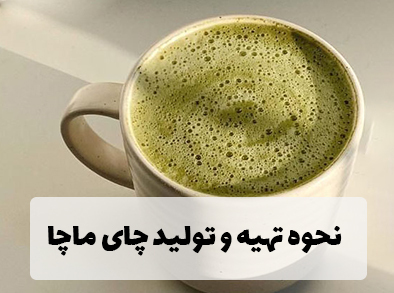 نحوه تهیه و تولید چای ماچا