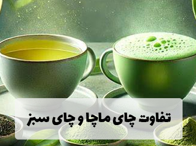 تفاوت های چای ماچا و چای سبز چیست ؟