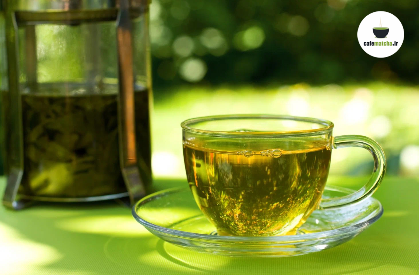 تولید چای سبز