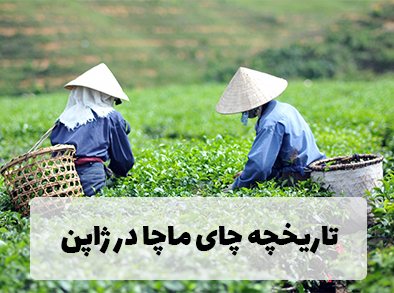 تاریخچه چای ماچا در ژاپن