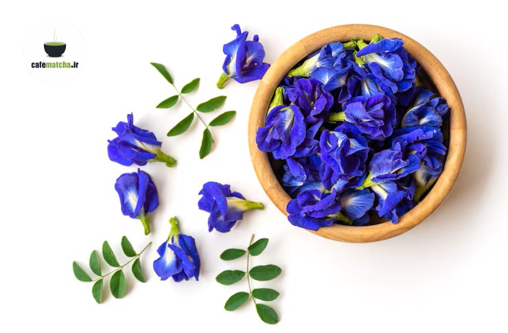 خرید عمده ماچا آبی